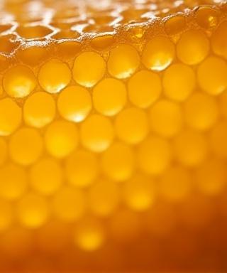 Panal de abeja fresco en caja